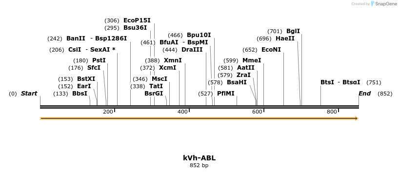 513733_map