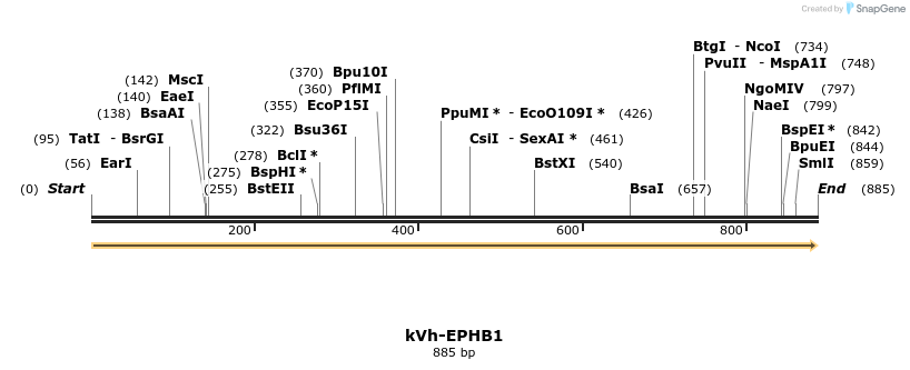 513735_map