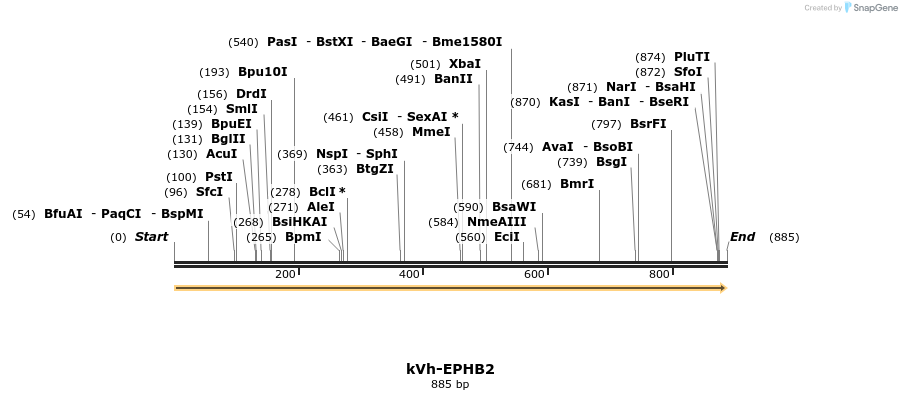 513737_map