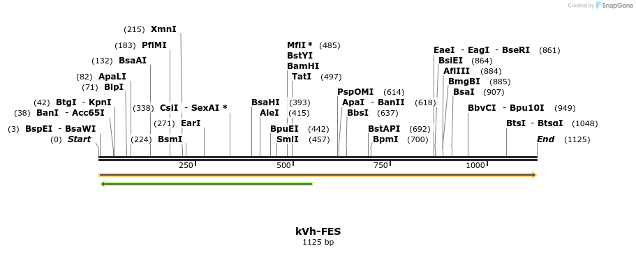 513739_map