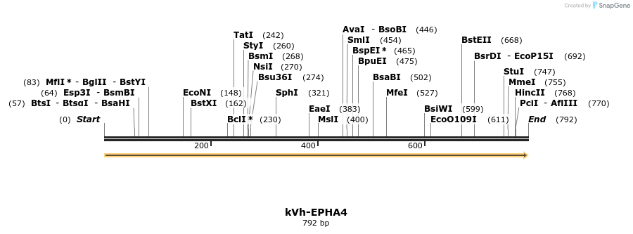 513747_map