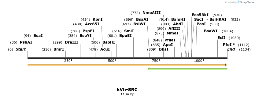 513749_map