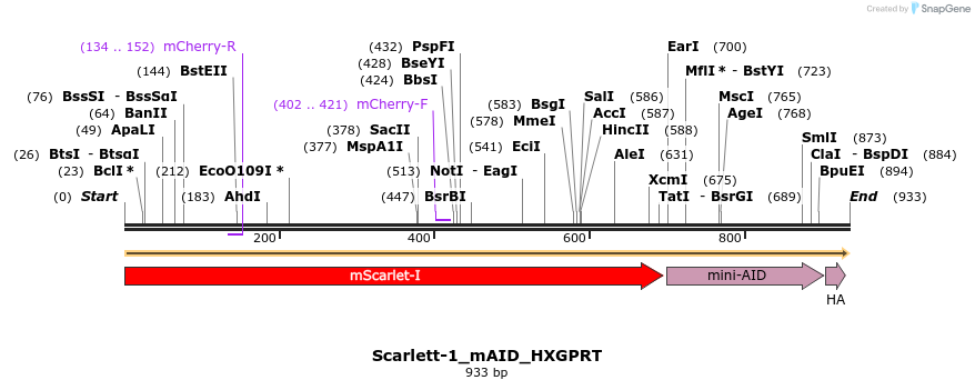 513786_map