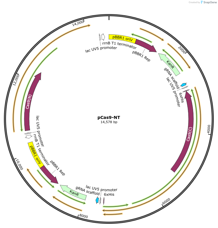 514004_map