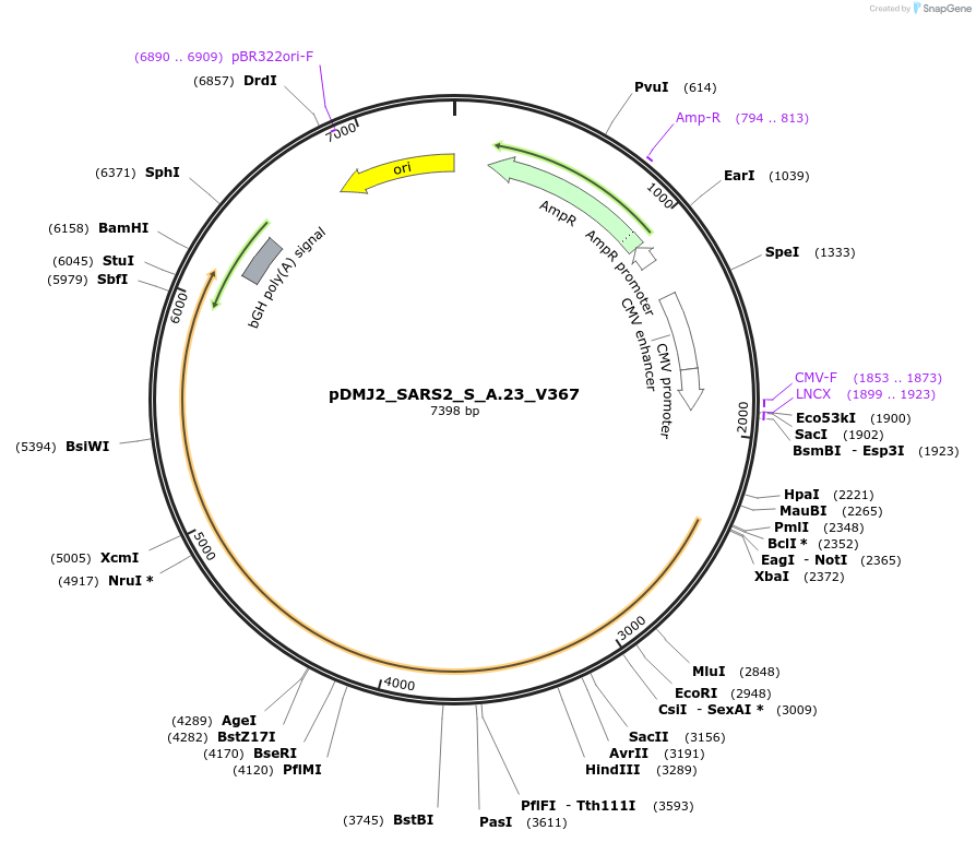 514181_map