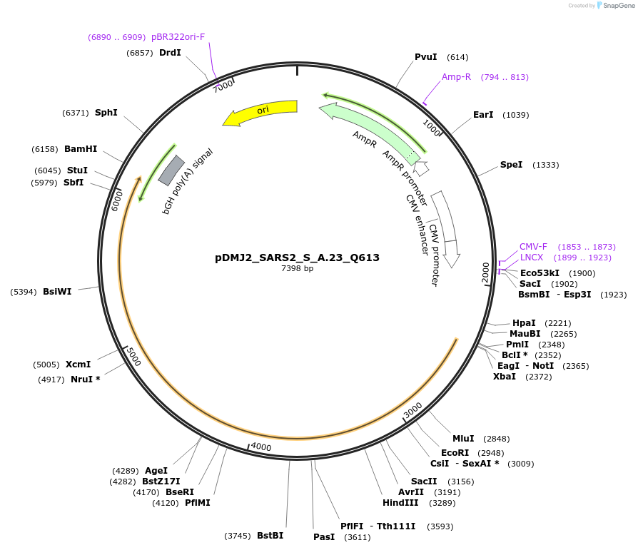 514182_map
