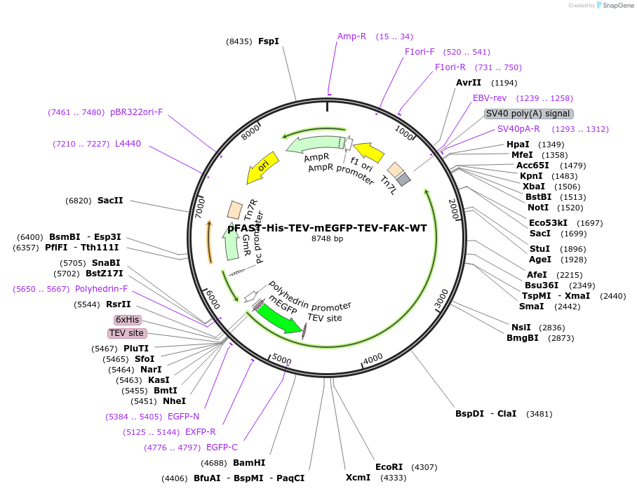 514993_map