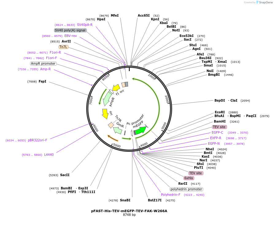 514994_map