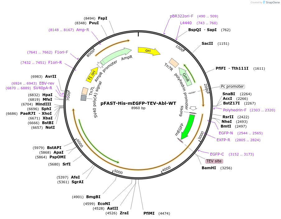 515002_map