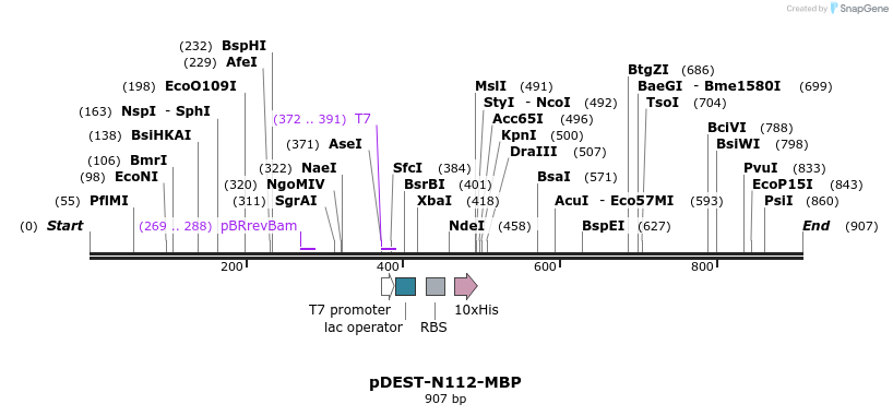 51501_map