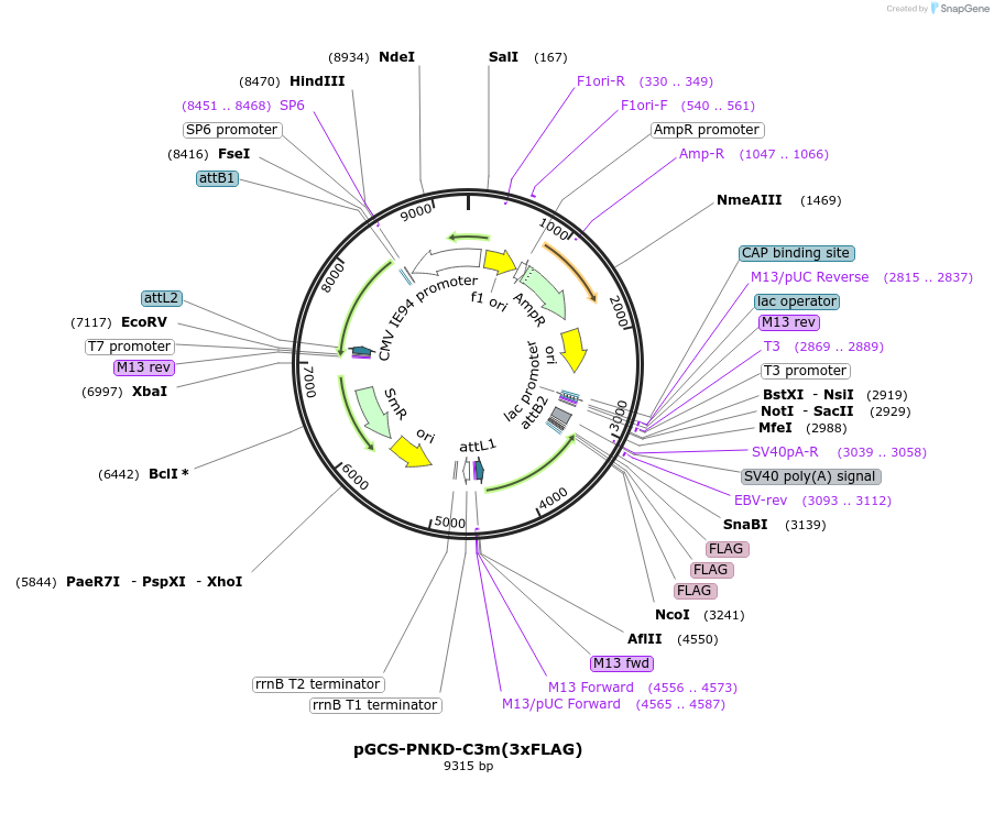 515012_map