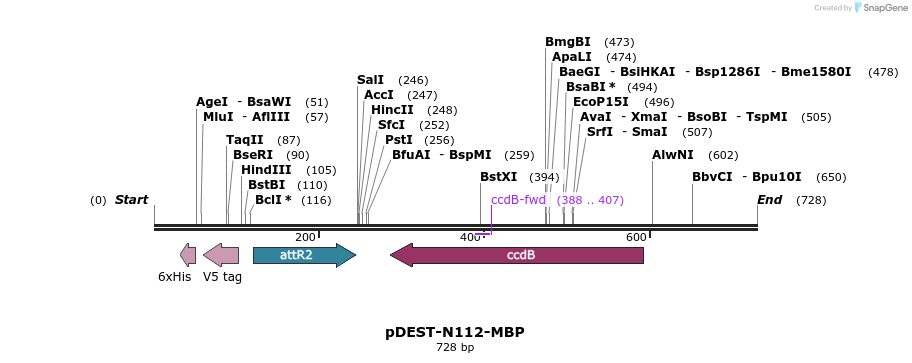 51503_map
