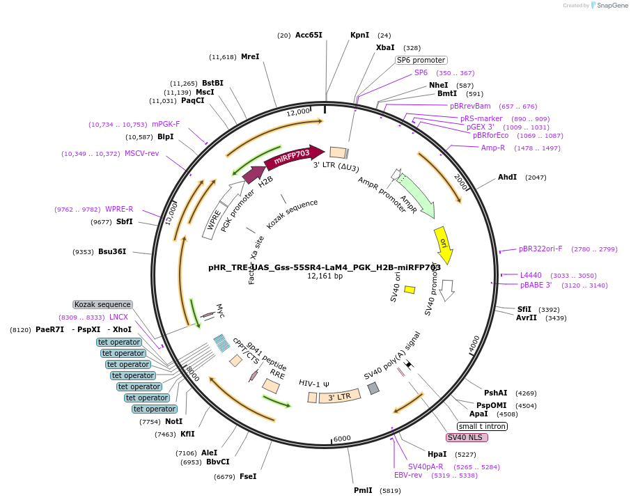 516316_map