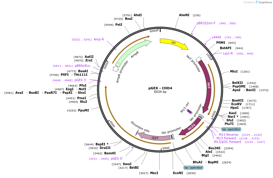 517760_map