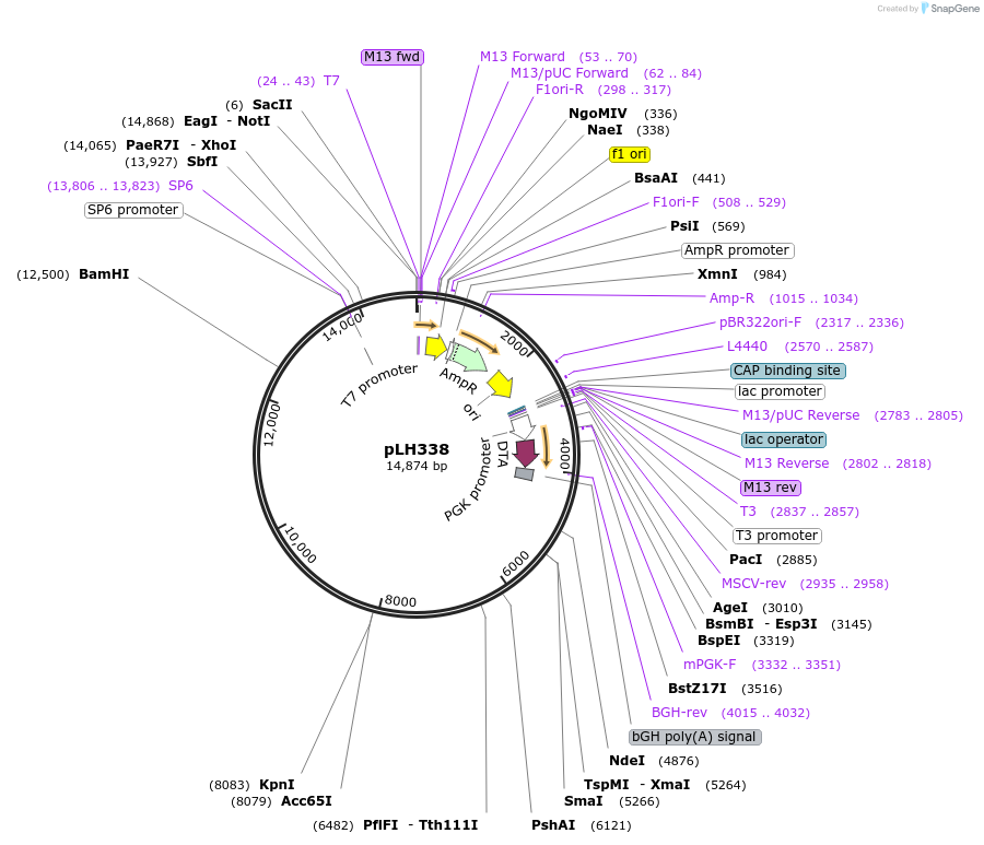 519154_map