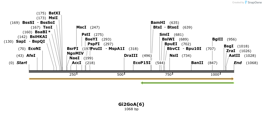 519178_map