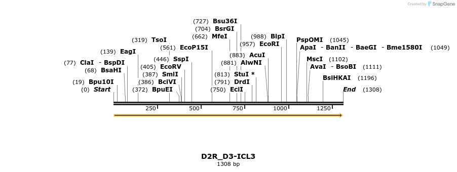519179_map