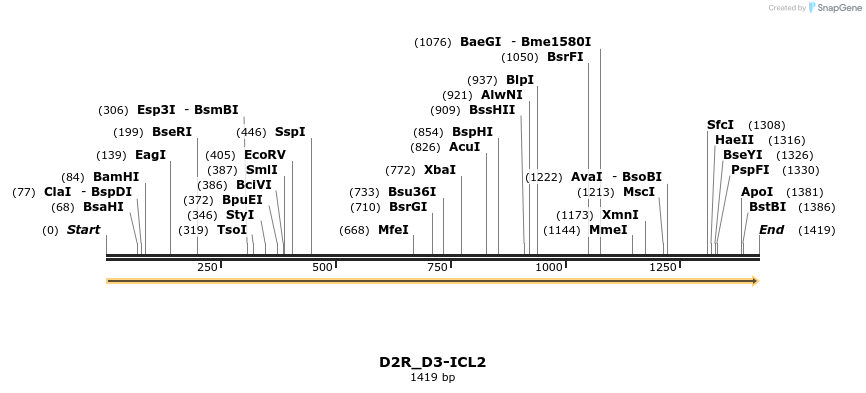 519180_map