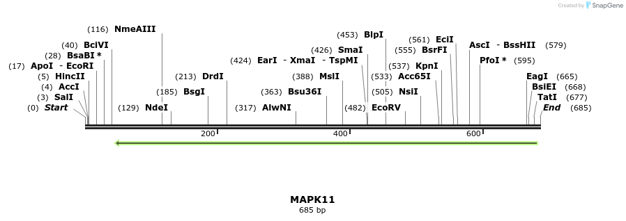 53321_map