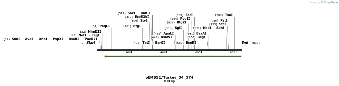 53919_map