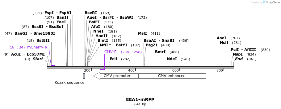 54404_map