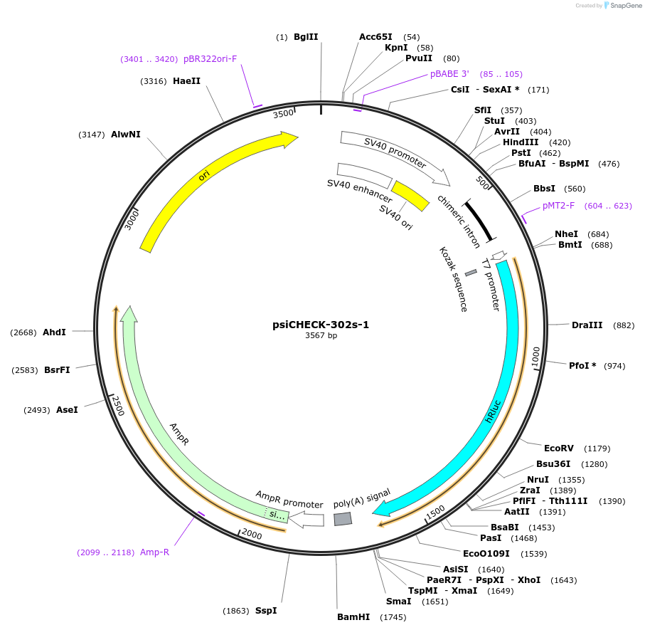42087-plasmid-map-sequence-id-56829