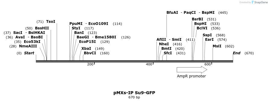 56877_map