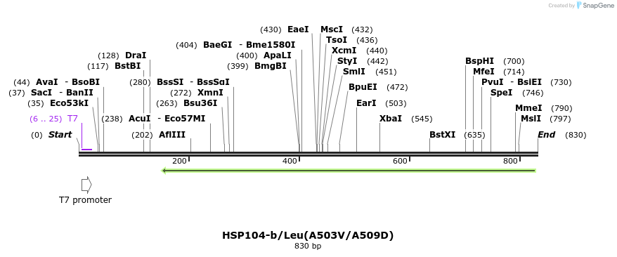 59126_map