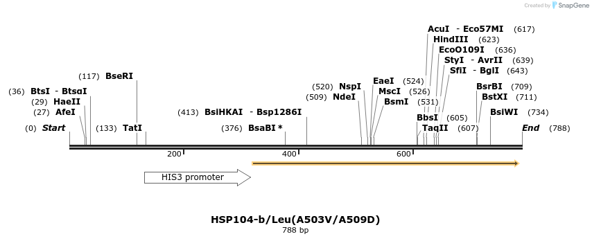 59128_map