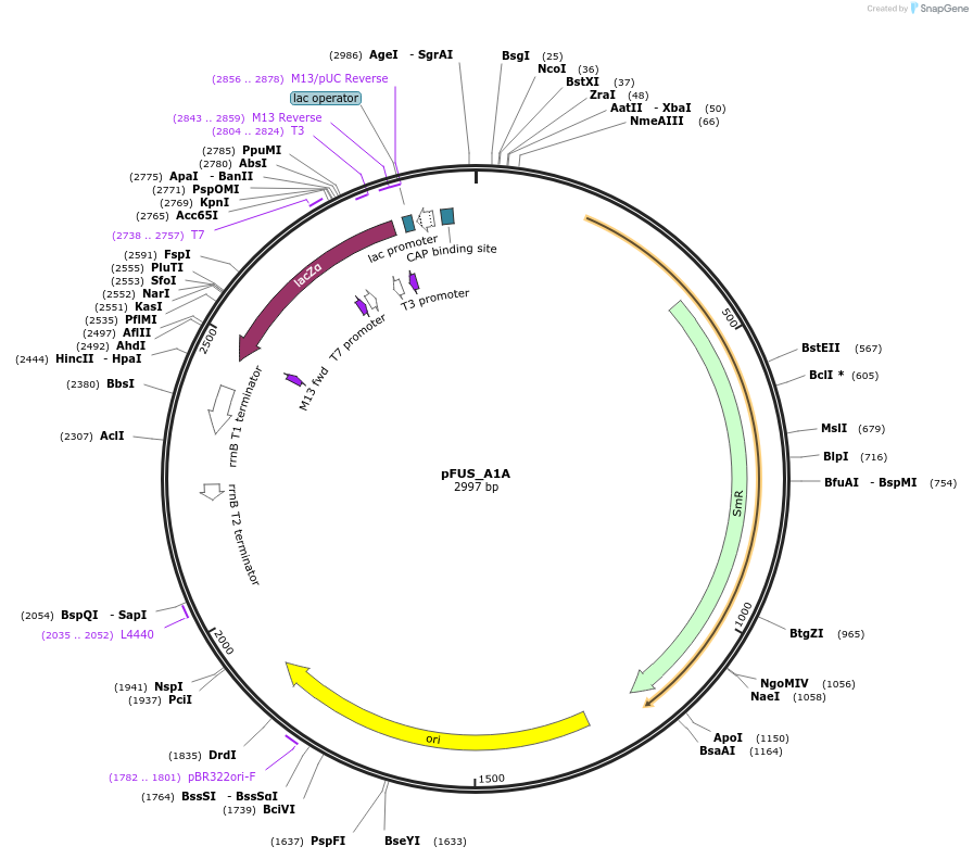 43848-plasmid-map-sequence-id-59179