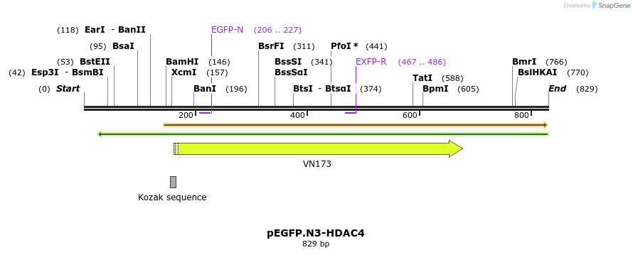 60129_map