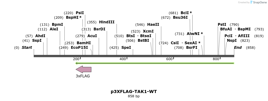 60850_map