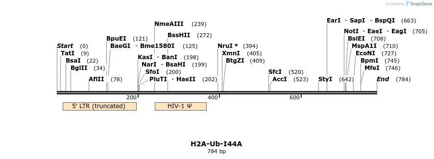 60871_map