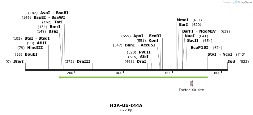 60872_map