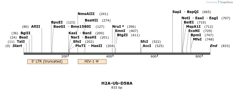 61101_map