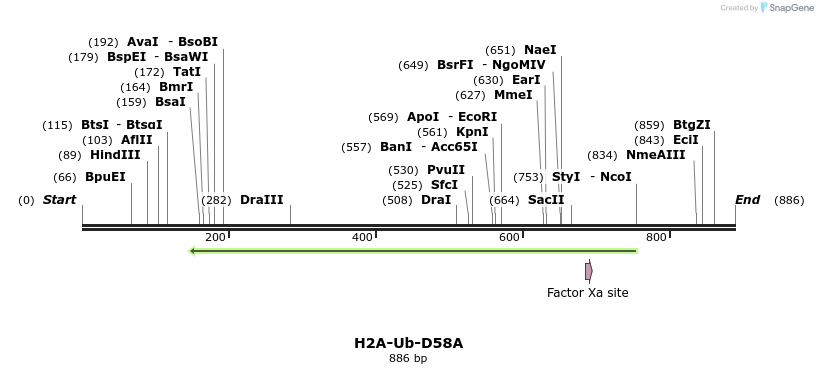 61265_map