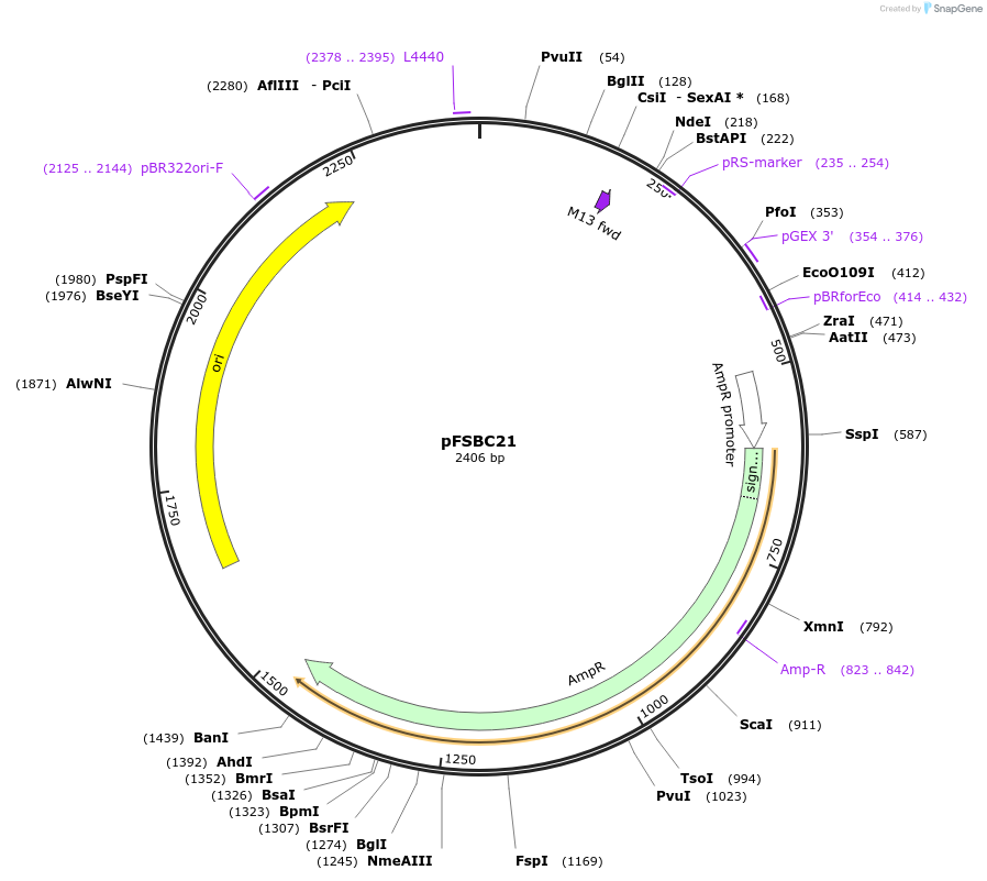 44785-plasmid-map-sequence-id-61393