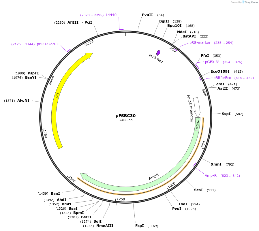44794-plasmid-map-sequence-id-61402