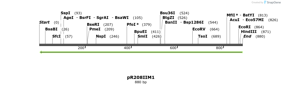 65101_map