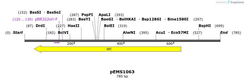 65164_map
