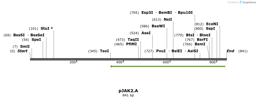 67663_map