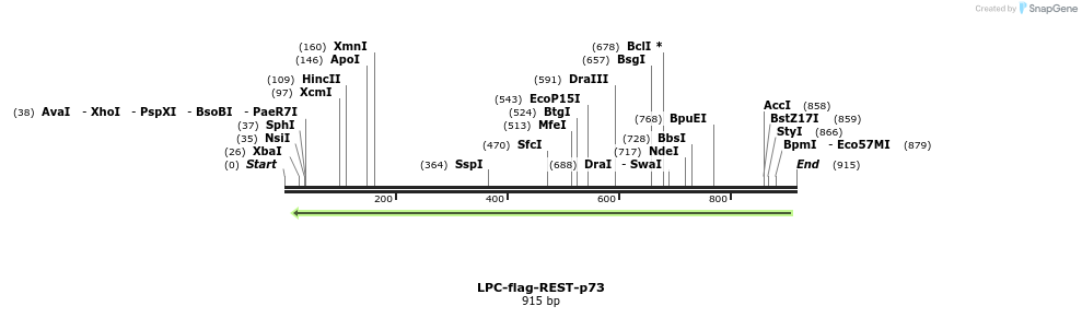 68583_map