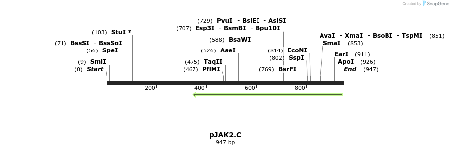 68829_map