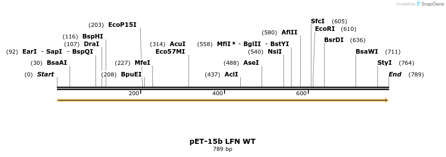 6894_map