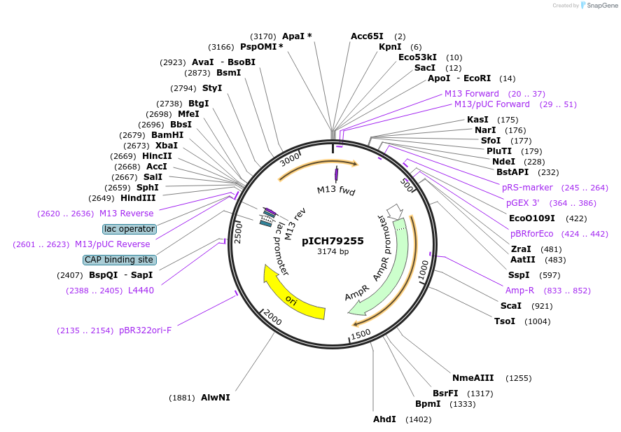 48058-plasmid-map-sequence-id-69058