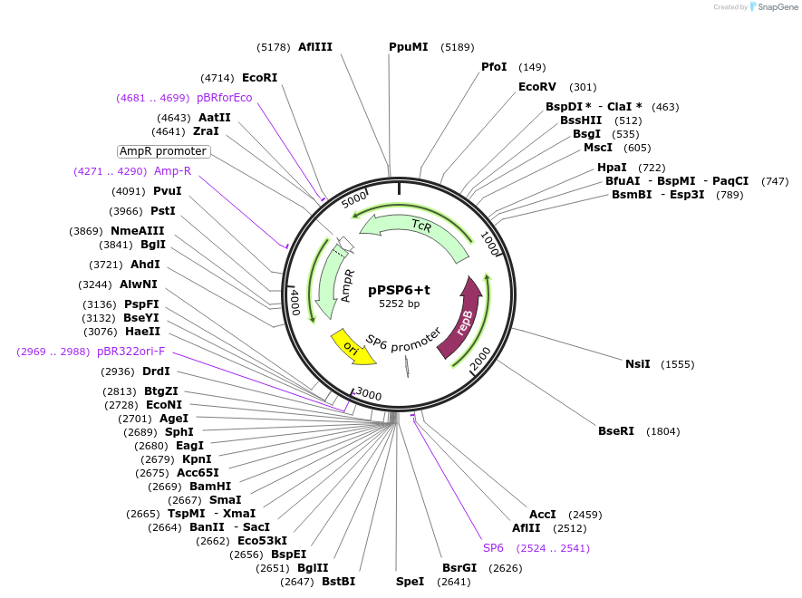 48149-plasmid-map-sequence-id-69936