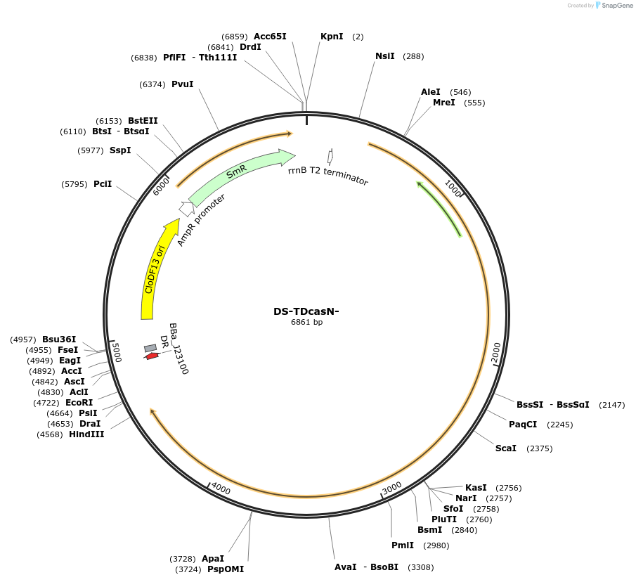 48660-plasmid-map-sequence-id-71734
