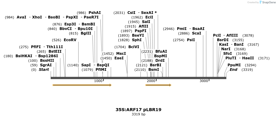 7217_map