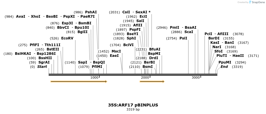 7219_map