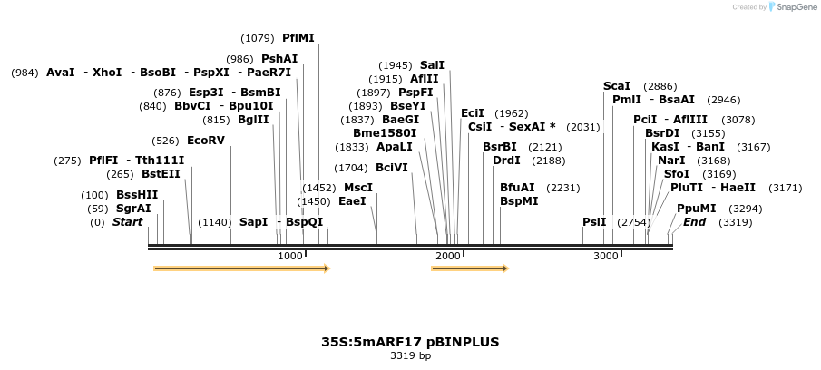 7220_map
